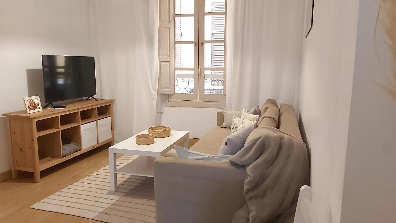 Del Parque Flats Mitjana Apartment Malaga